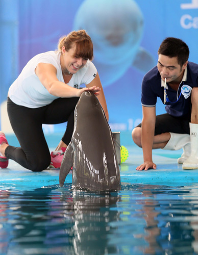 未来潜力的 未来潜力的